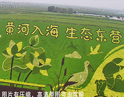 东营融媒体开宁4G4K智能雨刷球机慢直播垦利